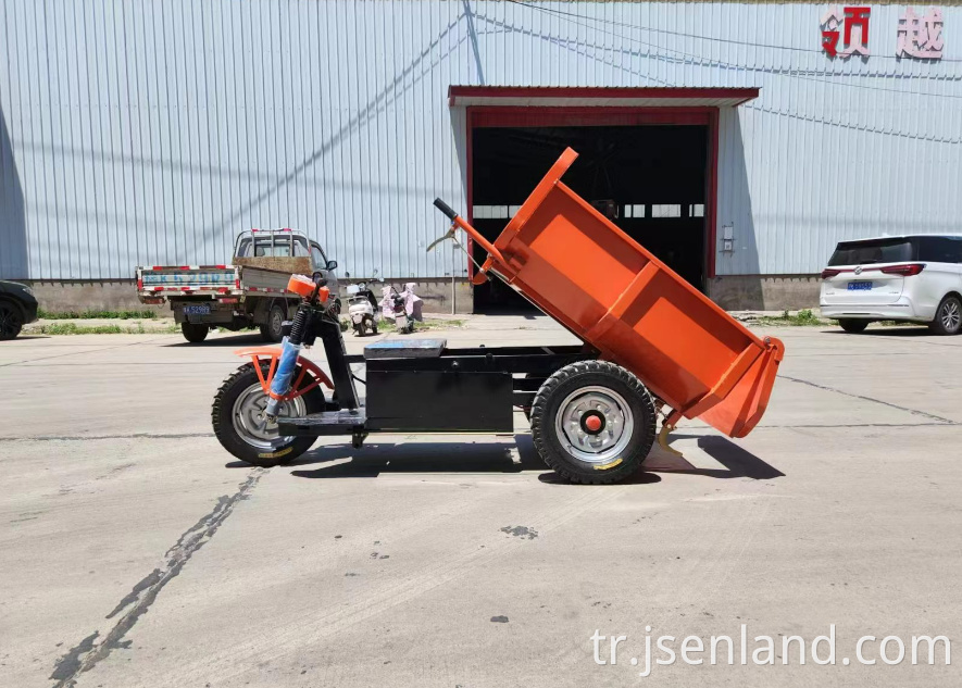 Yağ lastik kargo üç tekerlekli bisiklet Fat Tire Cargo Tricycle